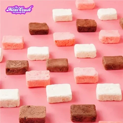 Freeze-Dried ice cream