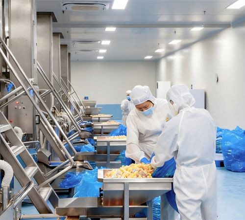 freeze dried ice cream factory