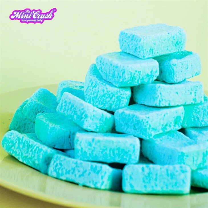 Freeze-dried Ice Cream (sea Salt Flavor) suppliers