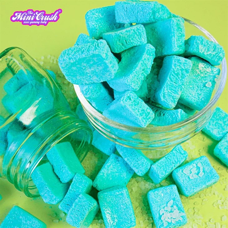 Freeze-dried Ice Cream (sea Salt Flavor) factory