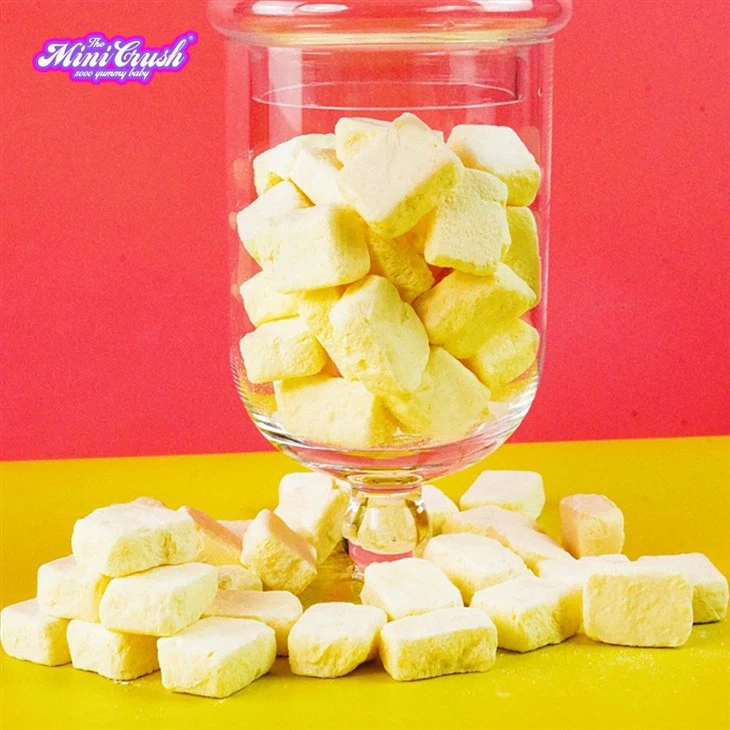 Freeze-Dried Vanilla Ice Cream best